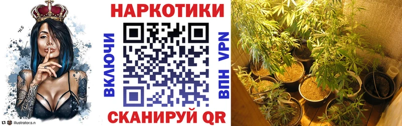 Как найти наркотики Торжок Амфетамин Меф мяу мяу Канабис КОКАИН СК