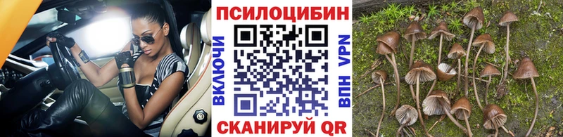 Галлюциногенные грибы Magic Shrooms Торжок